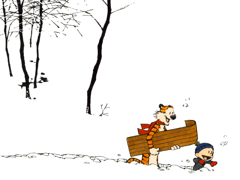 calvinhobbes